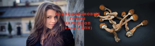 jwh Пестово