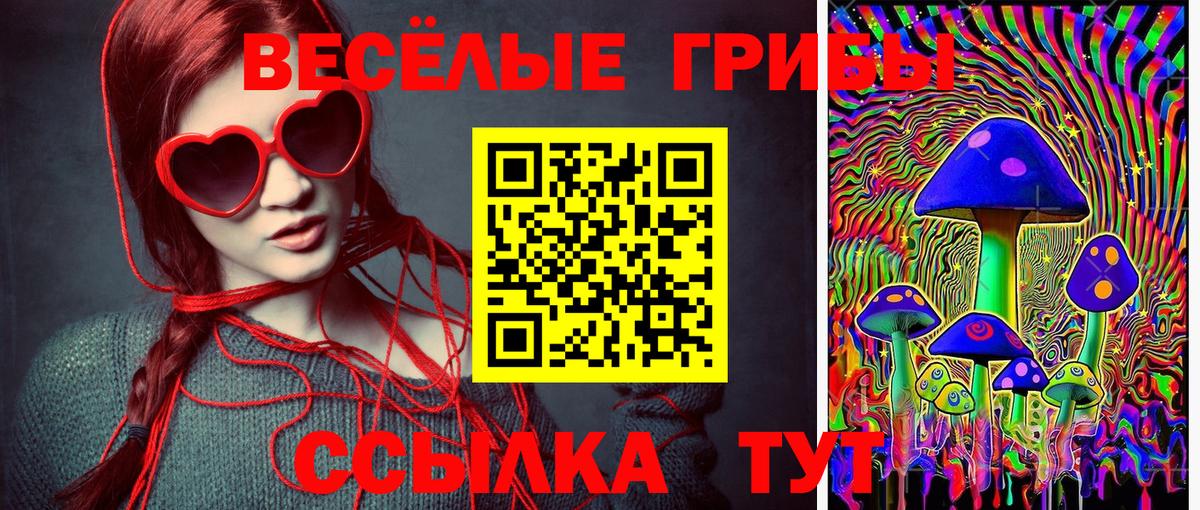 Псилоцибиновые грибы Psilocybine cubensis  Галлюциногенные грибы GOLDEN TEACHER  Лабинск  Вход с VPN 