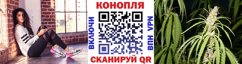 купить наркотик  Лабинск  Шишки марихуана конопля 